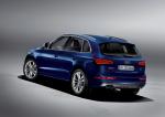 Audi SQ5 TDI 2013 года (WW)